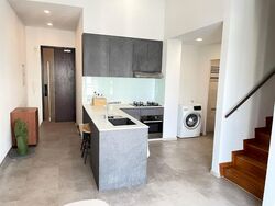 Loft @ Rangoon (D8), Apartment #522548711